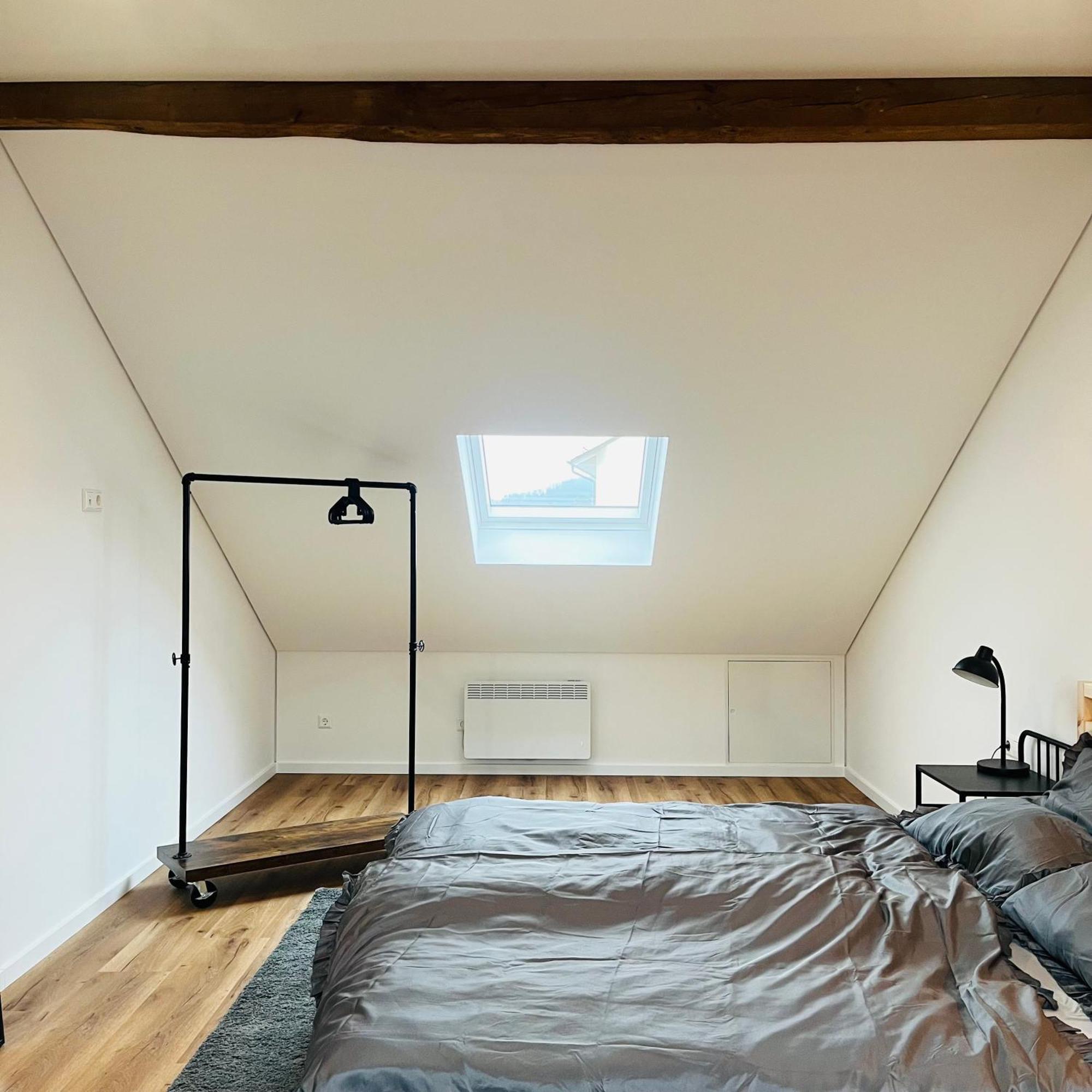 City Loft Apartment Bad Saeckingen Екстериор снимка